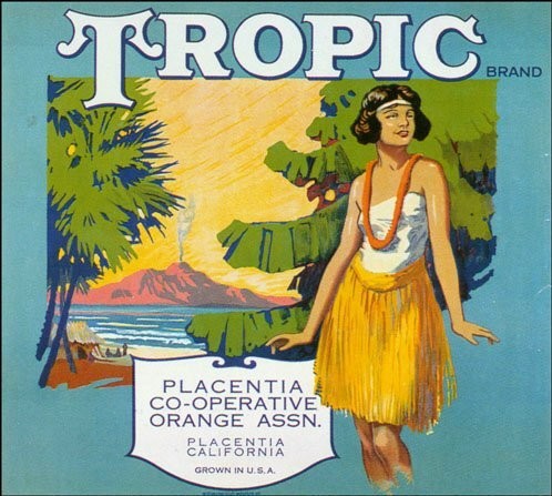 Tropic Vintage Fruit Crate Label